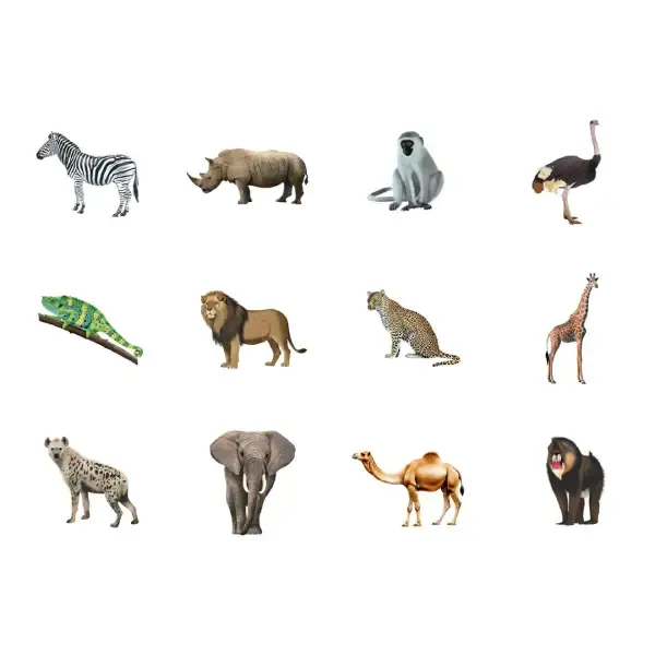rollo gomets apli animales selva.webp