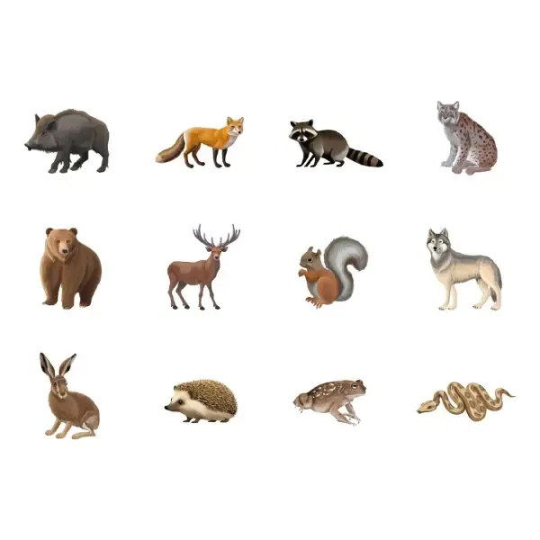 rollo gomets apli animales bosque.webp