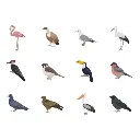 rollo gomets apli aves.webp