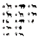 rollo gomets apli huellas (1).webp