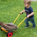 wheelbarrow trikes (1).webp
