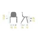 LOLA.webp