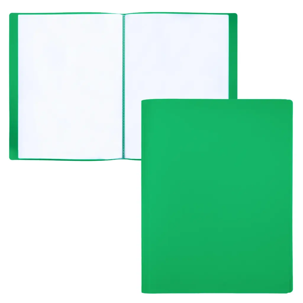 CARPETA DE FUNDAS A4 60 FUNDAS VERDE