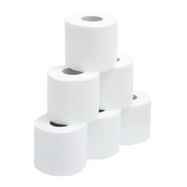 [650418] PAPEL HIGIÉNICO 2 CAPAS 48m Pack 6u