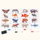 ASOCIACIÓN Y ESCRITURA - ANIMALES