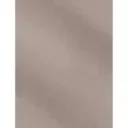 CARTULINA 50X65 METALIZADA PLATA 10u
