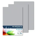 CARTULINA A4 RAYLU GRIS PAQUETE DE 100u