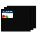 CARTULINA 50X65 RAYLU NEGRO PAQUETE DE 25u