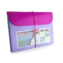 ORGANIZADOR DESPLEGABLE 7 DIVISIONES