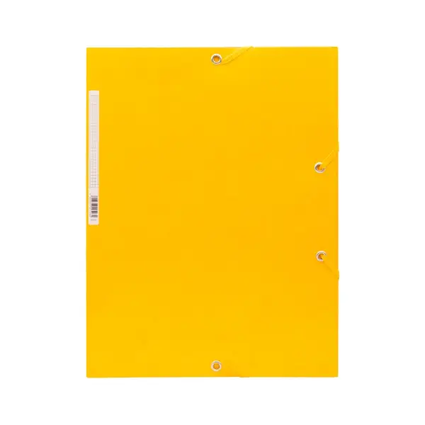 CARPETA DE GOMAS Y SOLAPAS A4+ CARTÓN