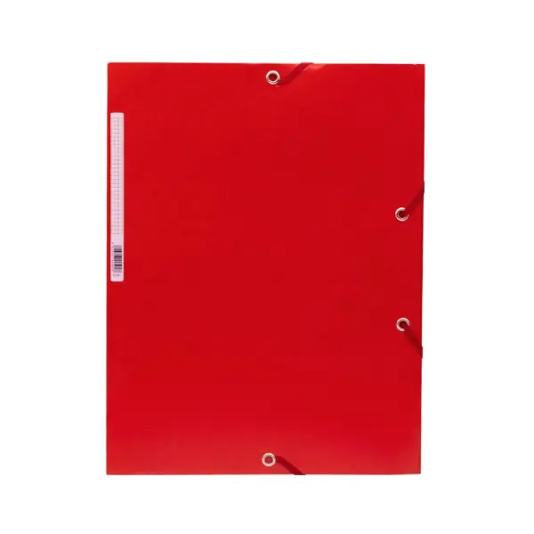 CARPETA DE GOMAS Y SOLAPAS A4+ CARTÓN