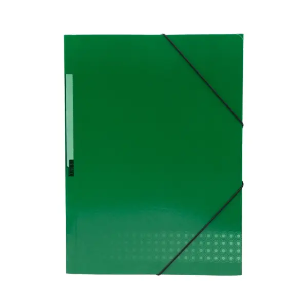 CARPETA DE GOMAS Y SOLAPAS A4+ CARTÓN