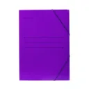CARPETA DE GOMAS Y SOLAPAS A4+ CARTÓN
