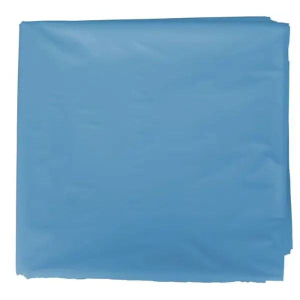 BOLSA DISFRAZ 56x70