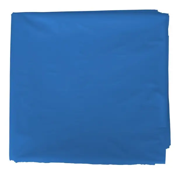 BOLSA DISFRAZ 56x70