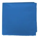 BOLSA DISFRAZ 56x70
