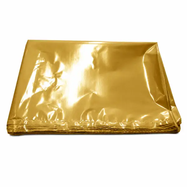 BOLSA DISFRAZ 65x90