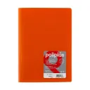 CARPETA POLIPLAS A4 30 FUNDAS