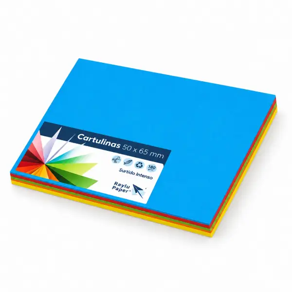 [825345] CARTULINA 50x65 SURTIDO VIVO 25u