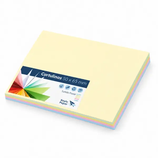 [825344] CARTULINA 50x65 SURTIDO SUAVE 25u