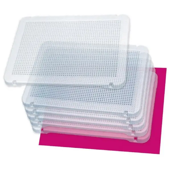 PEGS PLACA TRANSPARENTE Pack 6