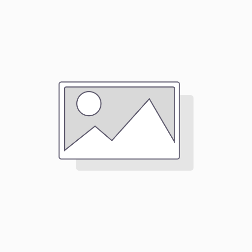 BOLÍGRAFO PILOT G2 PIXIE VIOLETA